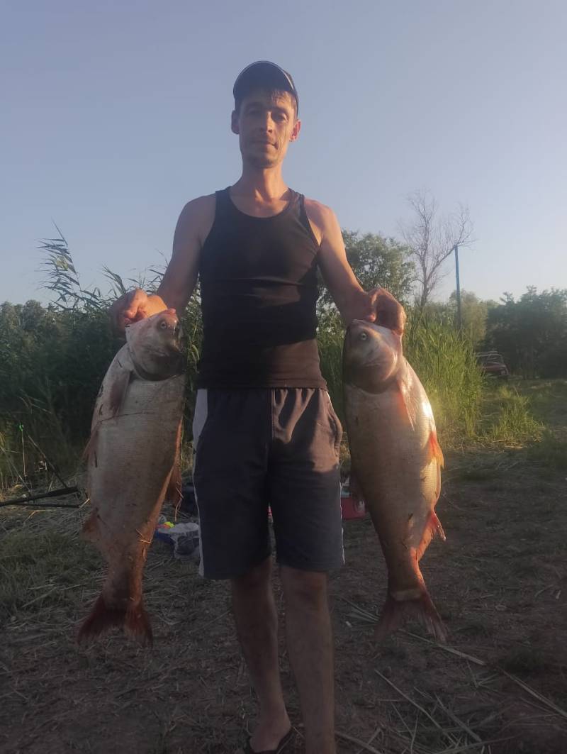 Рыболовный отчет по рыбе: Толстолоб