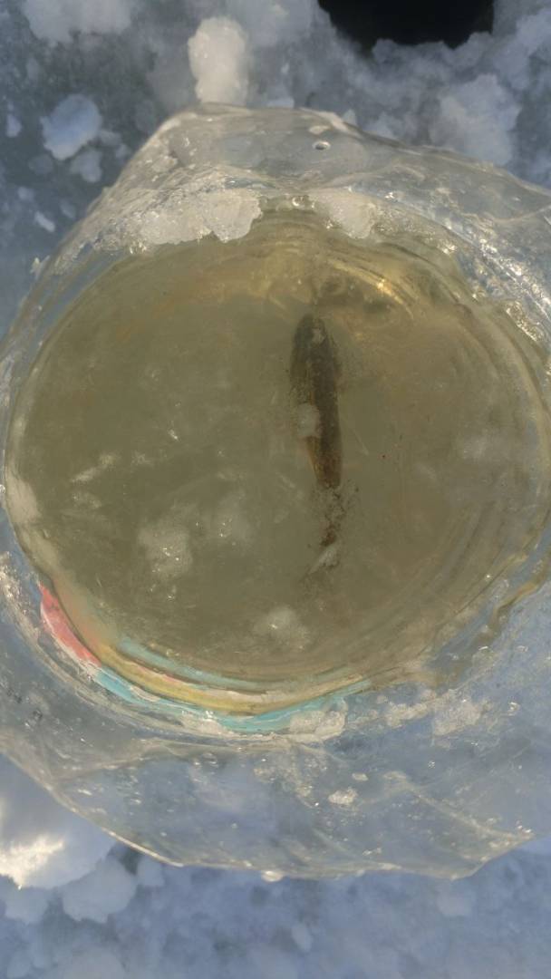 Фотоотчет рыбалки - Тура