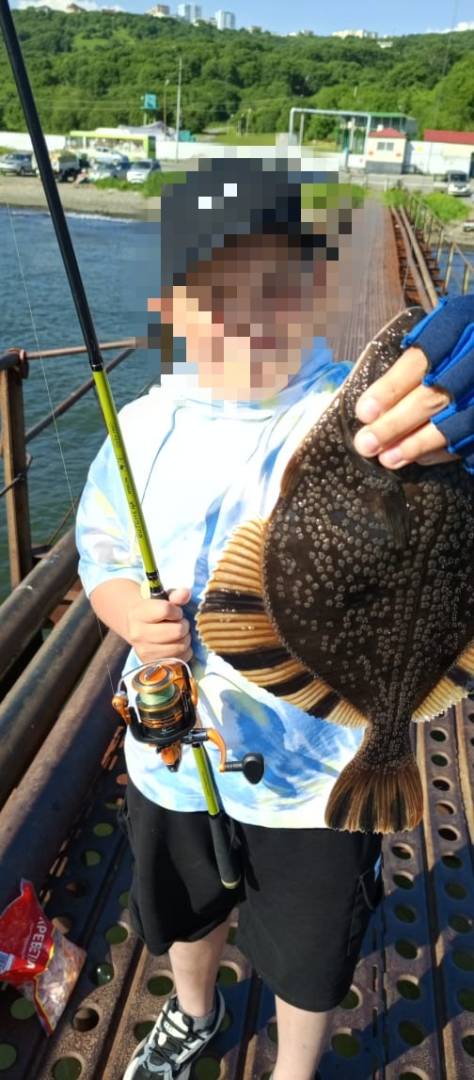 Рыболовный отчет по рыбе: Камбала