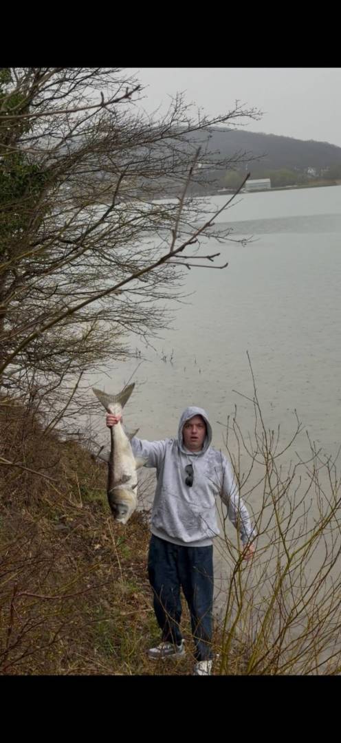 Рыболовный отчет по рыбе: Толстолоб