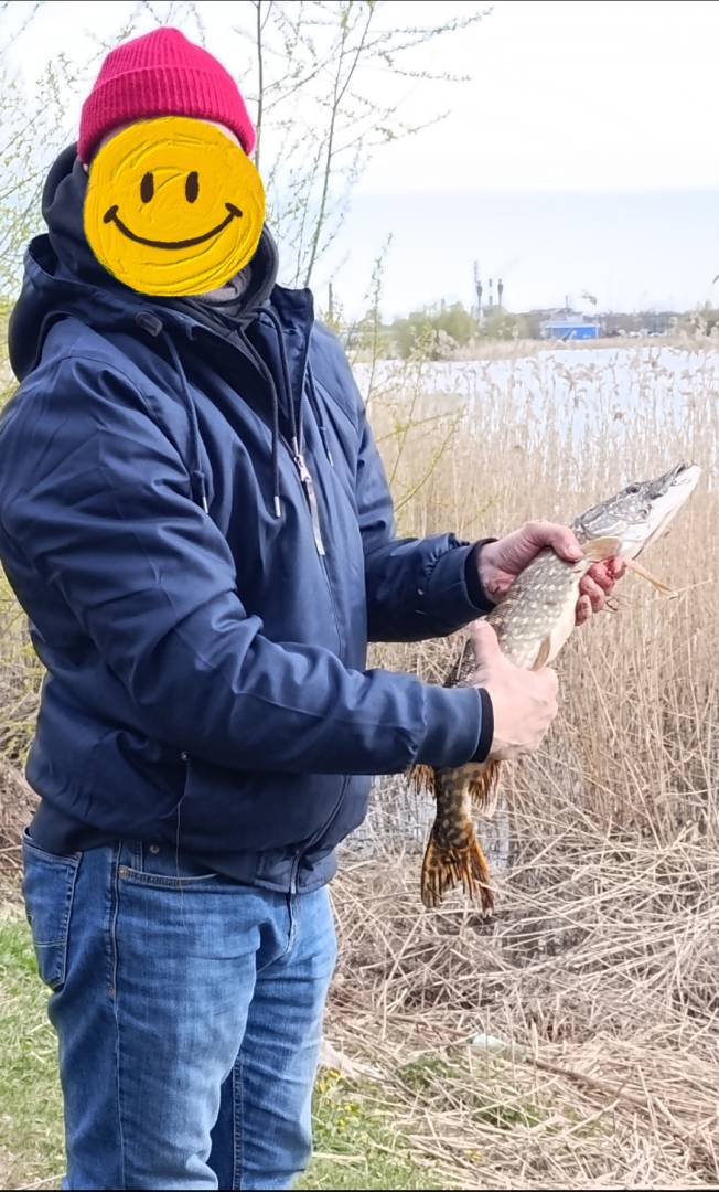 Рыболовный отчет по рыбе: Щука