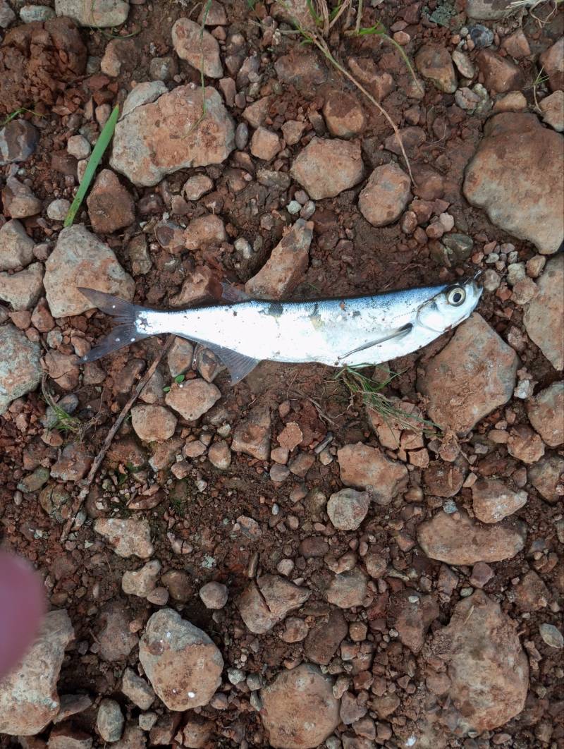 Фотоотчет рыбалки - Кировская область