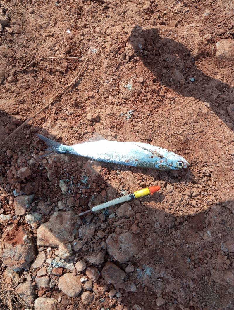 Фотоотчет рыбалки - Кировская область