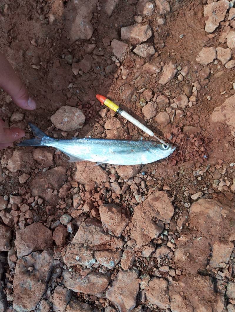 Фотоотчет рыбалки - Кировская область