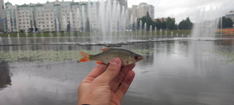 Фотоотчет рыбалки - Орёл