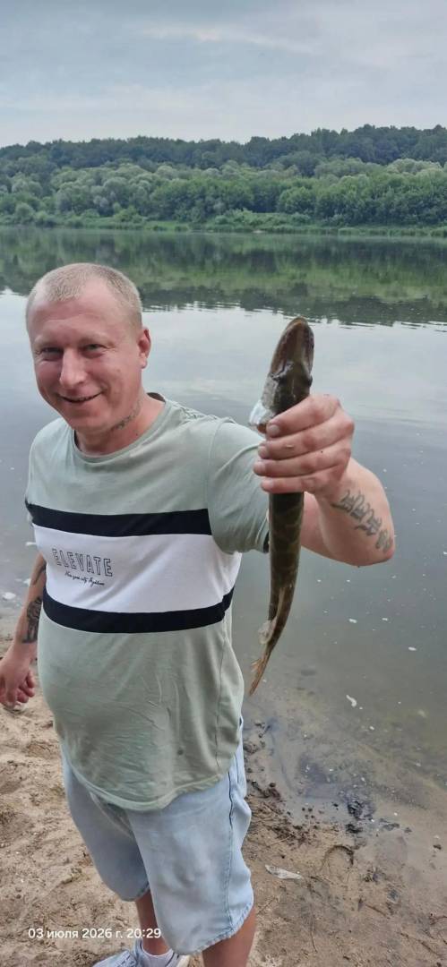 Рыболовный отчет по рыбе: Щука