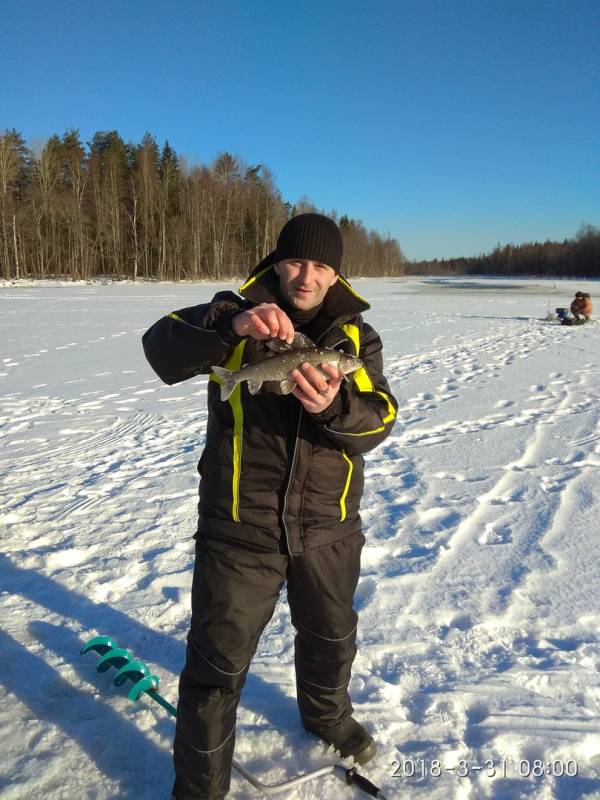 Фотоотчет по рыбе: Хариус. Место рыбалки: Ленинградская область