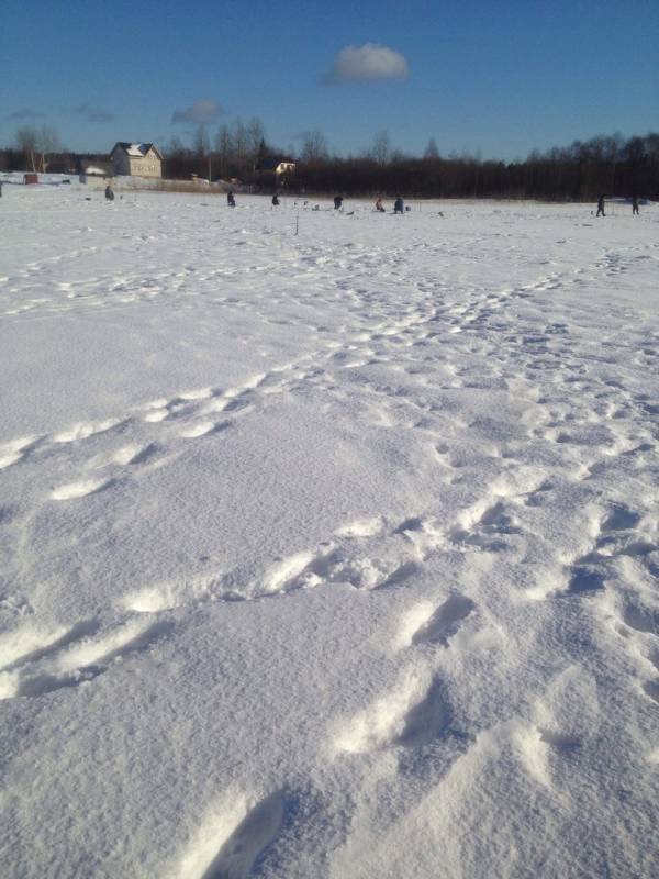 Фотоотчет с рыбалки. Место: Бокситогорск