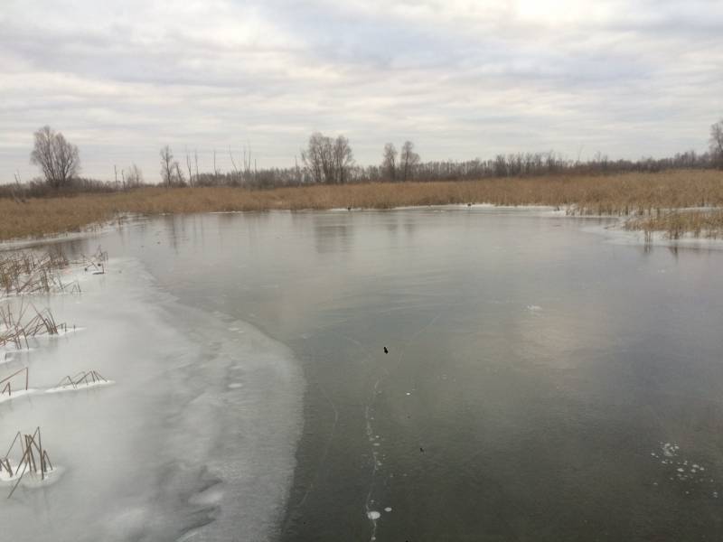 Фотоотчет с рыбалки. Место: Нижнекамское водохранилище