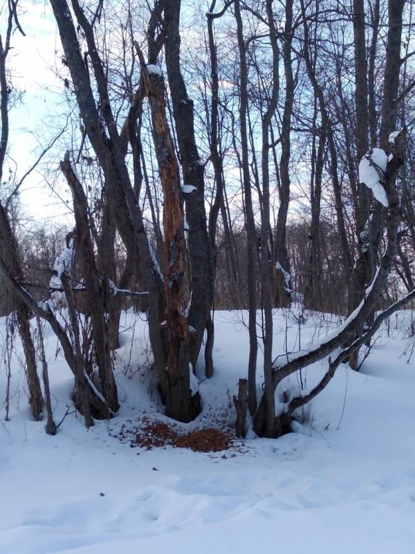 Фотоотчет с рыбалки. Место: Удмуртская Республика