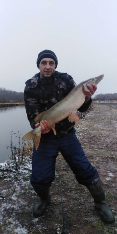 Фотоотчет по рыбе: Щука. Место рыбалки: Костромская область