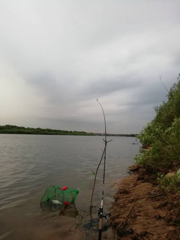 Фотоотчет с рыбалки. Место: Навашино (Нижегородская обл.)