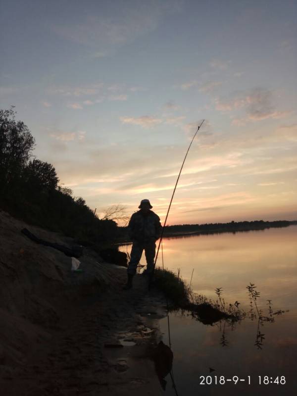Фотоотчет с рыбалки. Место: Котласский район