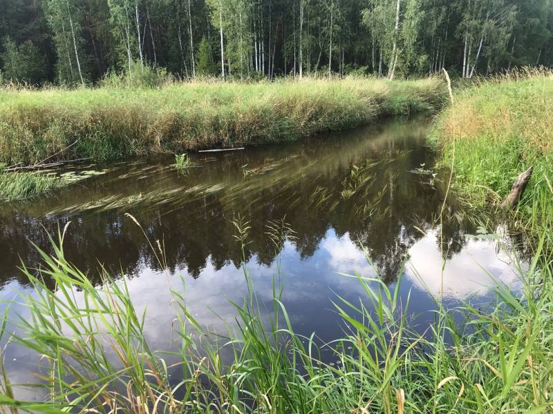 Фотоотчет с рыбалки. Место: Свердловская область