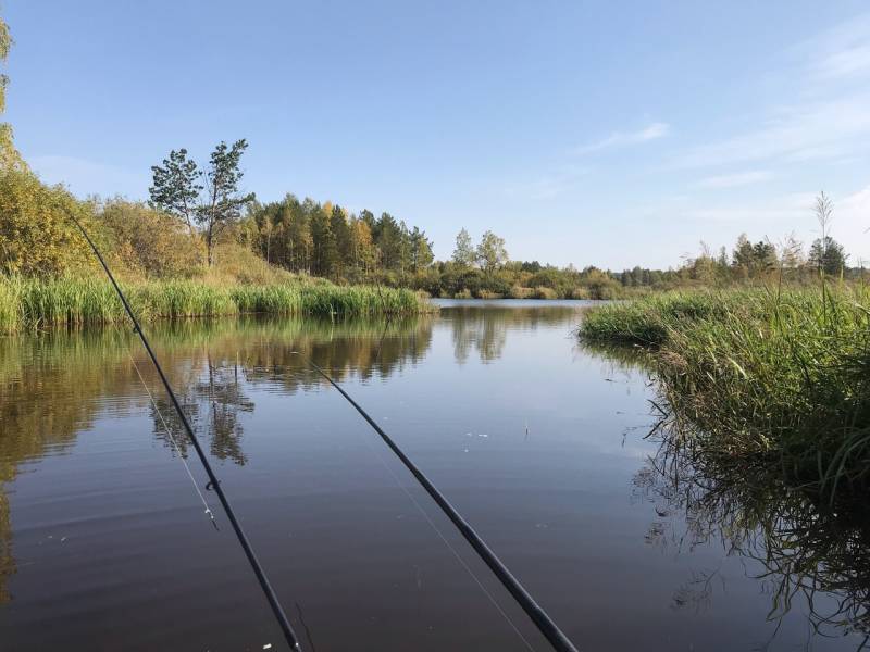 Фотоотчет с рыбалки. Место: Невьянский городской округ