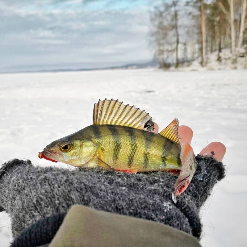 Фотоотчет с рыбалки. Место: Таватуй