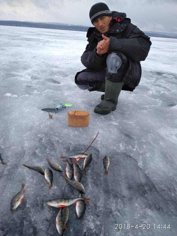 Фотоотчет с рыбалки. Место: Невьянский городской округ