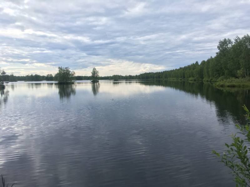 Фотоотчет с рыбалки. Место: Волхов