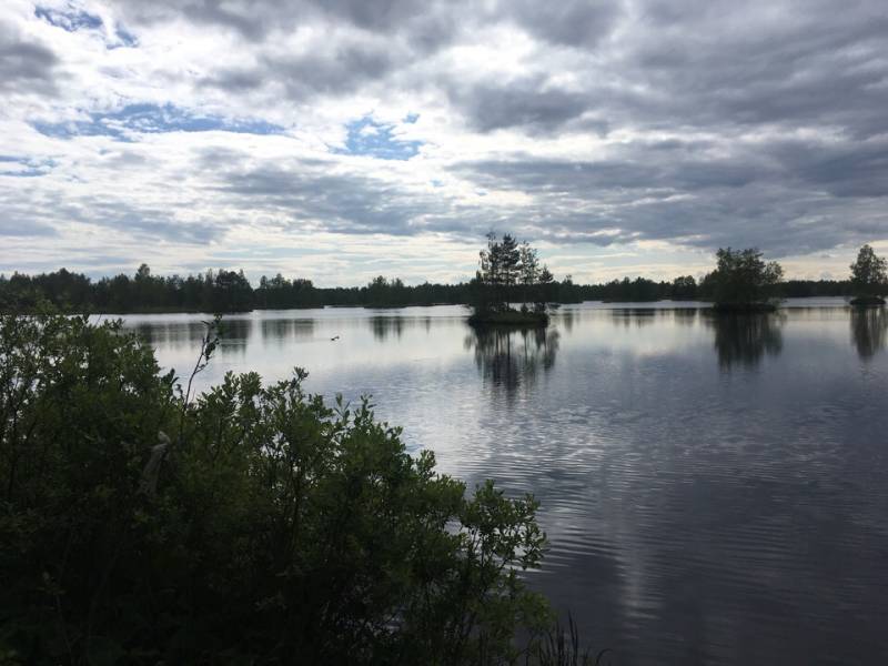 Фотоотчет с рыбалки. Место: Волхов