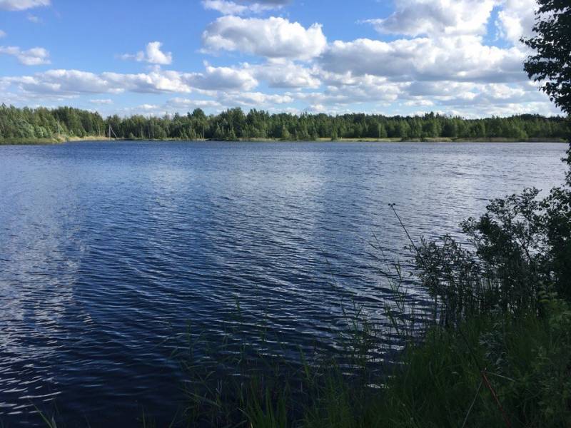 Фотоотчет с рыбалки. Место: Санкт-Петербург