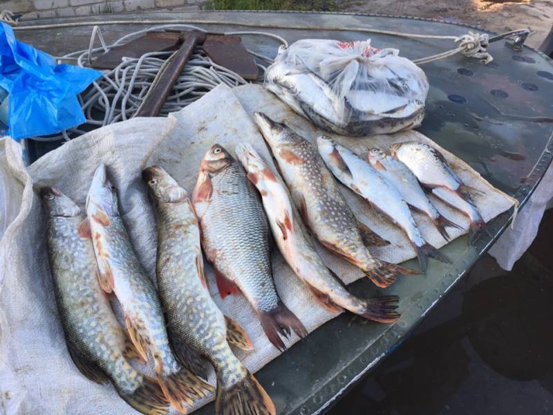 Фотоотчет по рыбе: Щука, Язь. Место рыбалки: озеро Урвановское