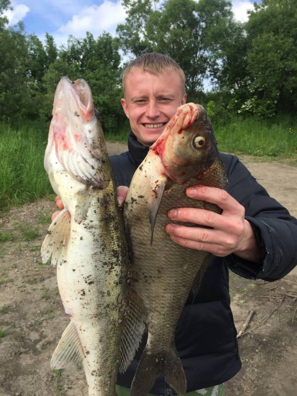 Фотоотчет по рыбе: Лещ, Судак. Место рыбалки: Томская область