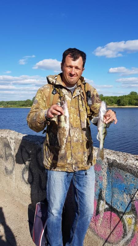 Фотоотчет по рыбе: Берш. Место рыбалки: Нижегородская область