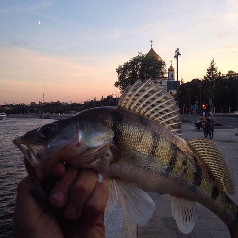 Фотоотчет с рыбалки. Место: Раменское