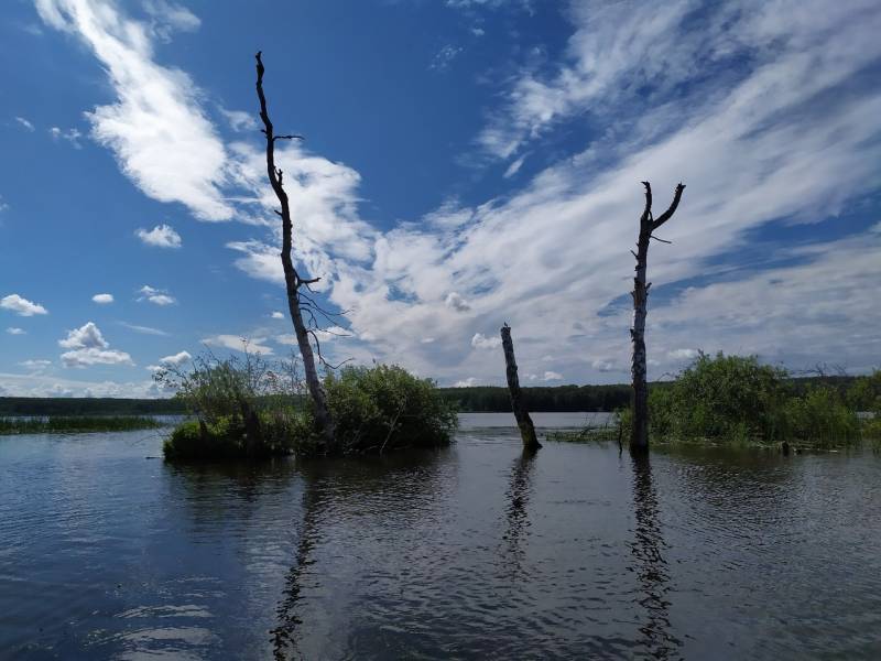 Фотоотчет с рыбалки. Место: Волга