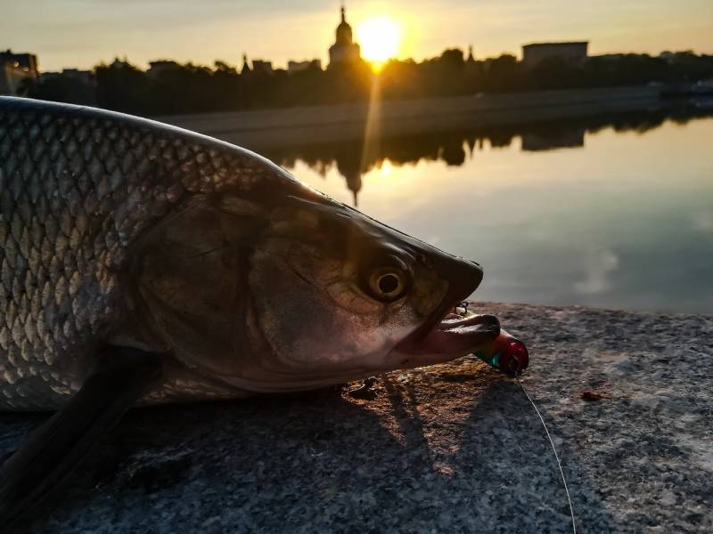 Фотоотчет с рыбалки. Место: Бронницы