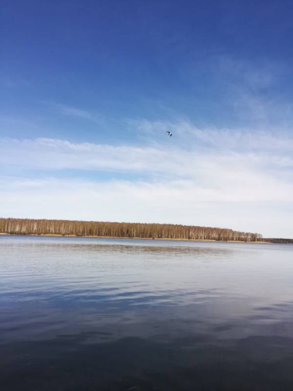 Фотоотчет с рыбалки. Место: Десногорское водохранилище