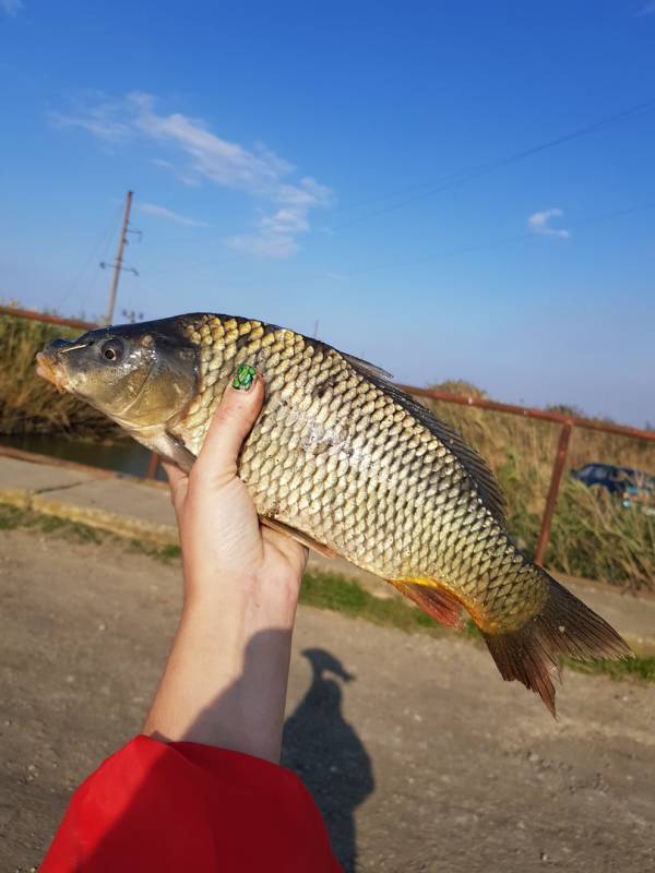 Фотоотчет с рыбалки. Место: Краснодарский край