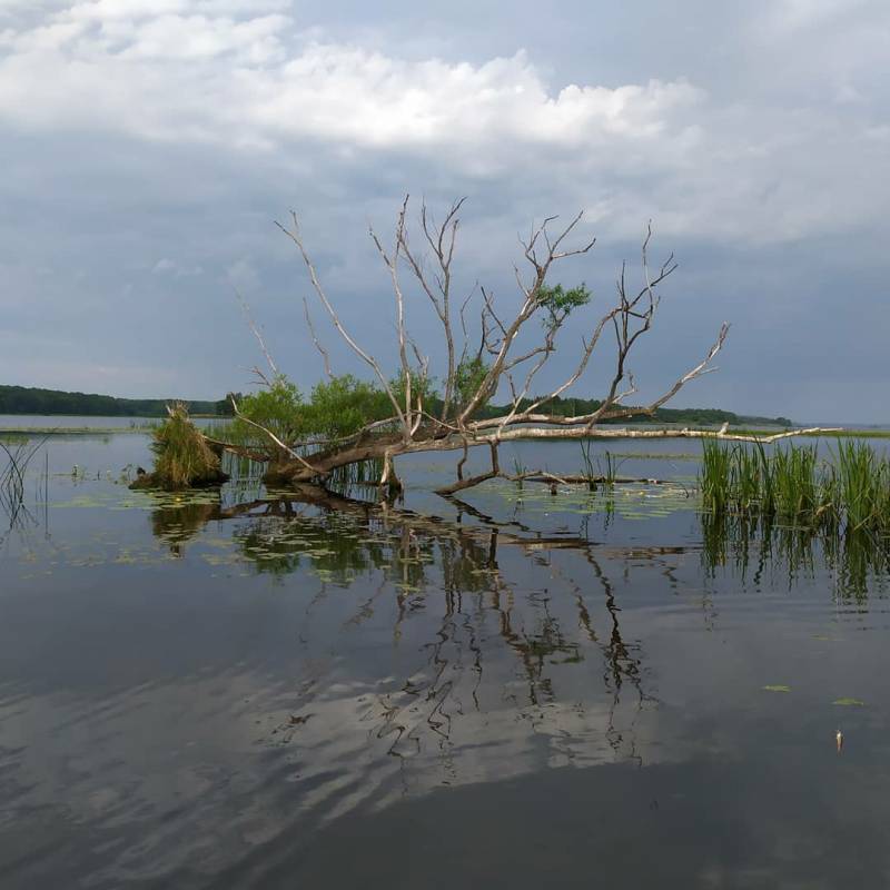 Фотоотчет с рыбалки. Место: Костромская область