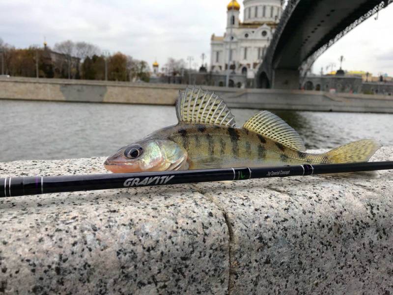 Фотоотчет с рыбалки. Место: Барвиха