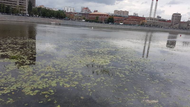 Фотоотчет с рыбалки. Место: Софьино