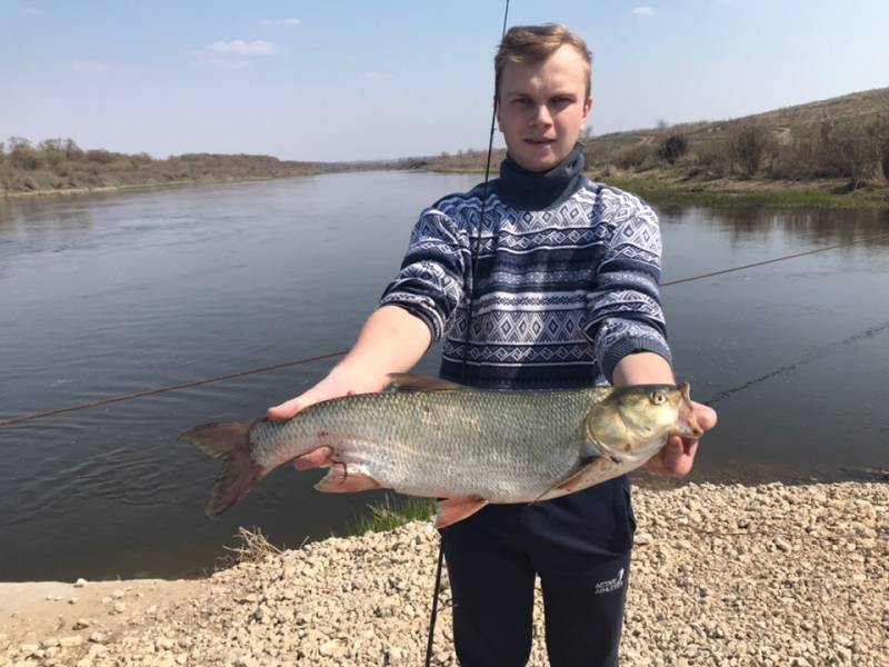 Фотоотчет по рыбе: Жерех. Место рыбалки: Воронеж (Воронежская обл.)