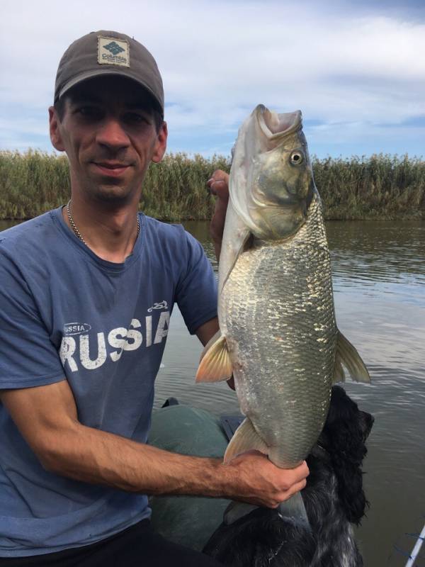 Фотоотчет по рыбе: Жерех. Место рыбалки: Астраханская область