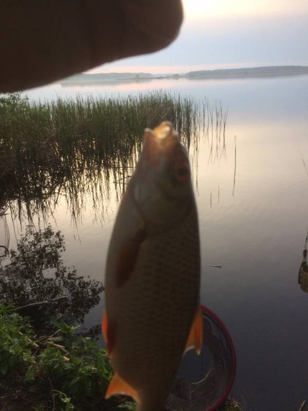 Фотоотчет с рыбалки. Место: Воронеж (Воронежская обл.)