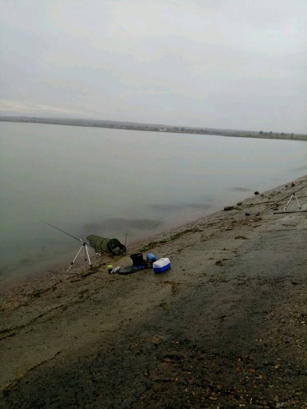Фотоотчет с рыбалки. Место: Егорлыкское водохранилище