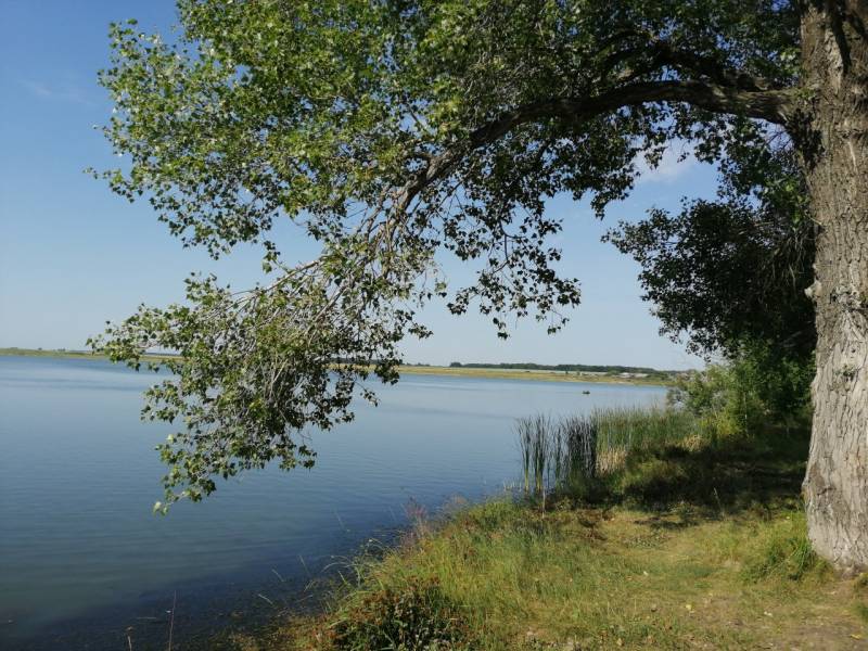 Фотоотчет с рыбалки. Место: Саргатский район