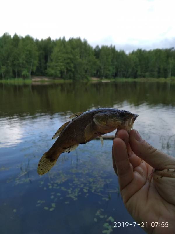 Фотоотчет с рыбалки. Место: Раменское