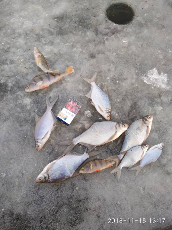 Фотоотчет с рыбалки. Место: Исетское водохранилище