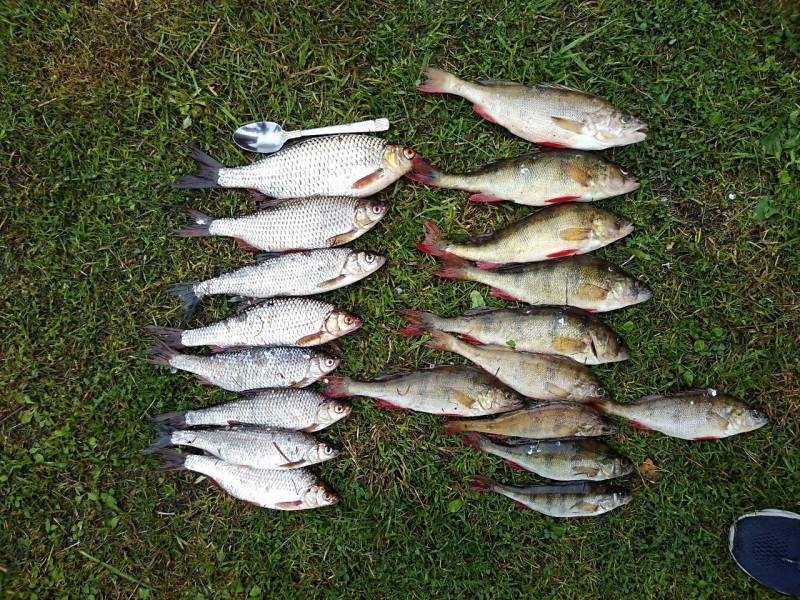 Фотоотчет с рыбалки. Место: Ладожское озеро