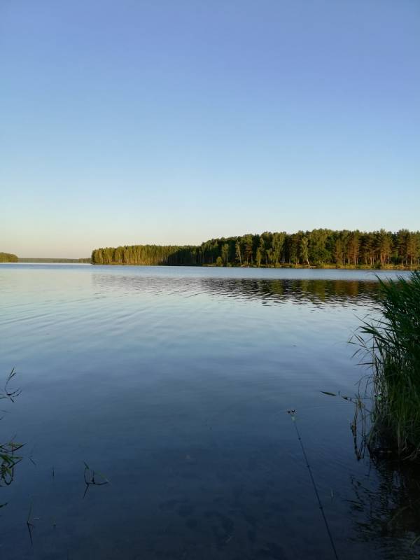 Фотоотчет с рыбалки. Место: Десногорское водохранилище