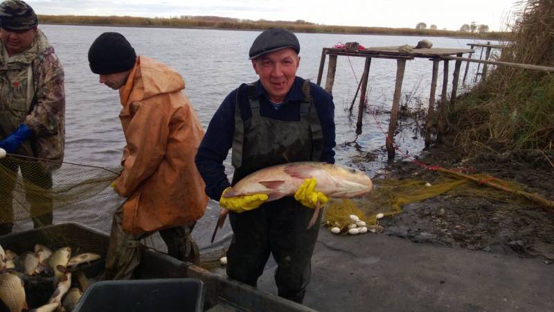 Фотоотчет по рыбе: Толстолоб. Место рыбалки: Самарская область