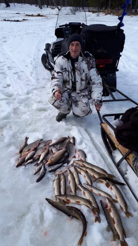 Фотоотчет по рыбе: Щука, Язь. Место рыбалки: Ямало-Ненецкий автономный округ