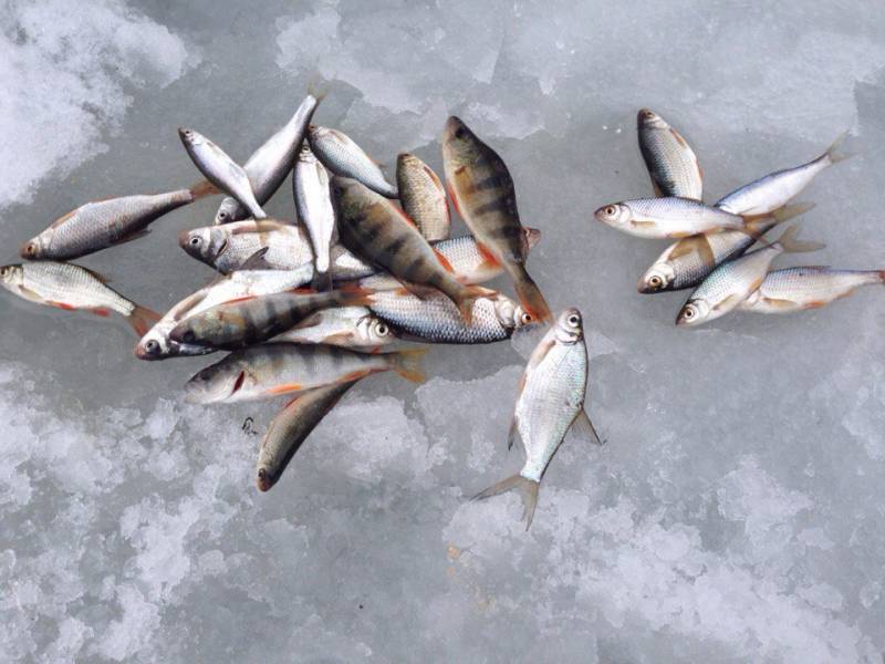 Фотоотчет с рыбалки. Место: Оренбургская область