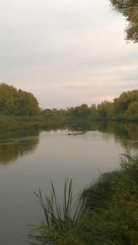 Фотоотчет с рыбалки. Место: Оренбургская область