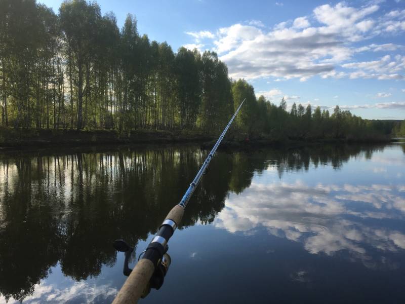Фотоотчет с рыбалки. Место: Билимбаевский пруд