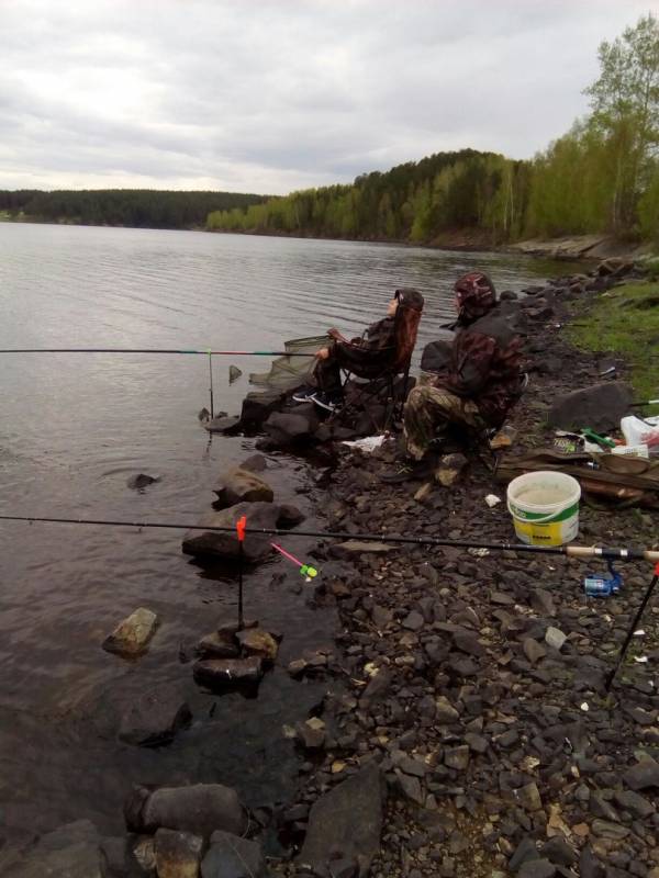 Фотоотчет с рыбалки. Место: Волчихинское водохранилище